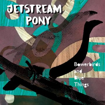 JETSTREAM PONY - BOWERBIRDS & BLUE THINGS