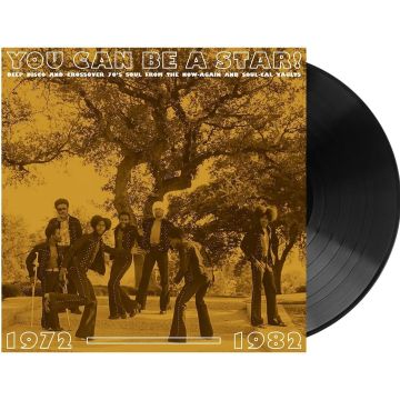 VARIOUS ARTISTS - YOU CAN BE A STAR!: DEEP DISCO & CROSSOVER 70S SOUL FROM THE NOW