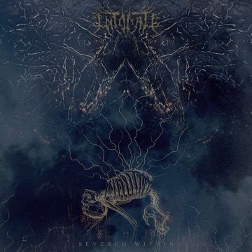 INTONATE - SEVERED WITHIN (RANDOM MIXED COLOR VINYL)