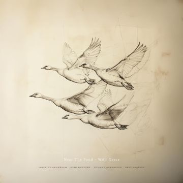NEAR THE POND - WILD GEESE