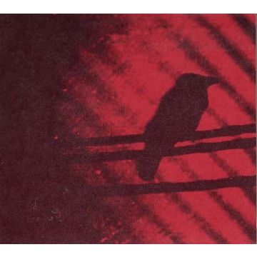 SILVER MOUNTAIN ZION - BORN INTO TROUBLE AS THE SPARKS FLY UPWARD