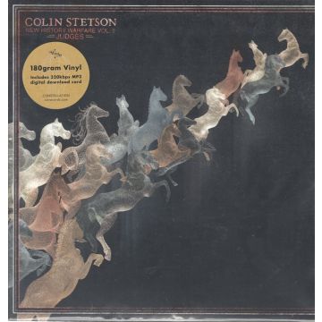 COLIN STETSON - NEW HISTORY WARFARE VOL.2: JUDGES