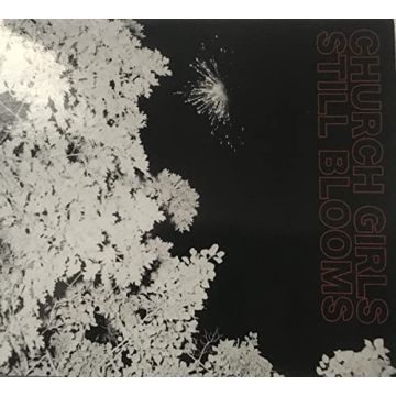 CHURCH GIRLS - STILL BLOOMS