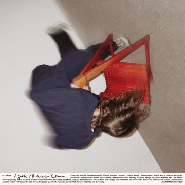 S. FIDELITY - I GUESS I'LL NEVER LEARN (1)