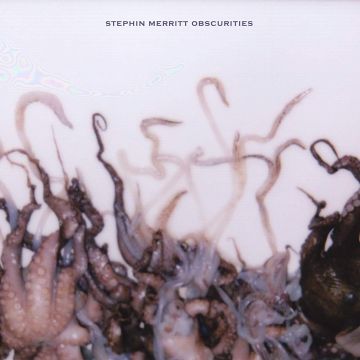 STEPHIN MERRITT - OBSCURITIES