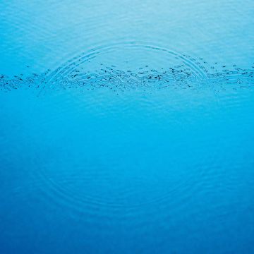 CARIBOU - SUDDENLY (DL CARD)
