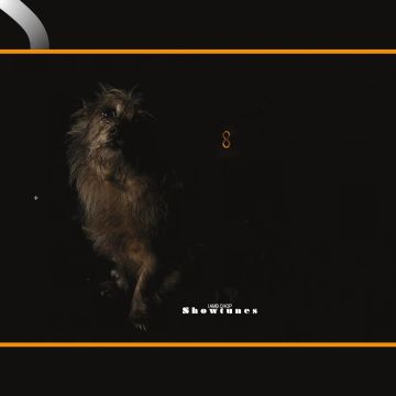 Lambchop - Showtunes