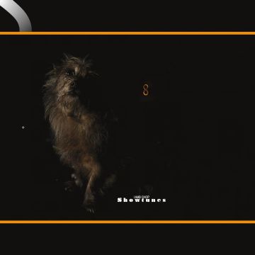 LAMBCHOP - SHOWTUNES