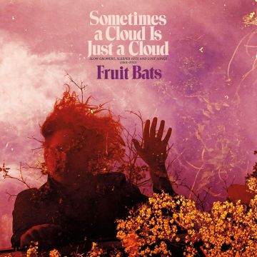FRUIT BATS - SOMETIMES A CLOUD IS JUST A CLOUD: SLOW GROWERS