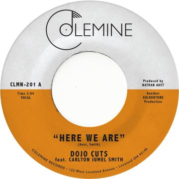 DOJO CUTS - HERE WE ARE (CLEAR VINYL)