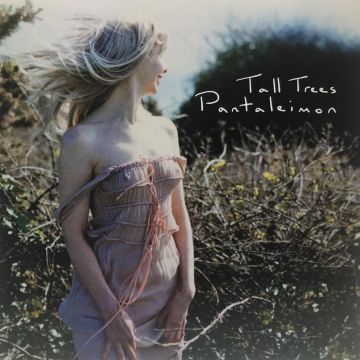 PANTALEIMON - TALL TREES