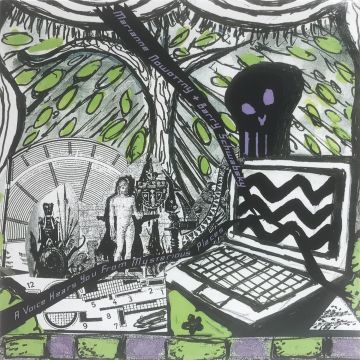 SCHWABSKY,BARRY & MARIANNE NOWOTTNY - VOICE HEARS YOU FROM MYSTERIOUS PLACES