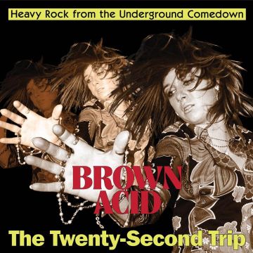 VARIOUS ARTISTS - BROWN ACID - THE TWENTY-SECOND TRIP