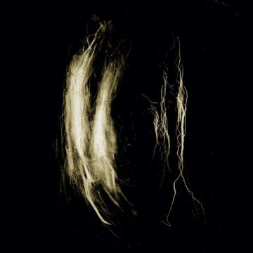 MY HEART, AN INVERTED FLAME - PLAGUE NOTES