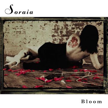 SORAIA - BLOOM