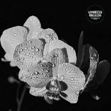 ASSORTED ORCHIDS - ASSORTED ORCHIDS (GATEFOLD/WHITE VINYL)