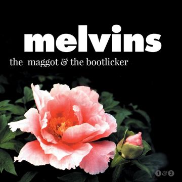 MELVINS - MAGGOT & THE BOOTLICKER (DL CARD)