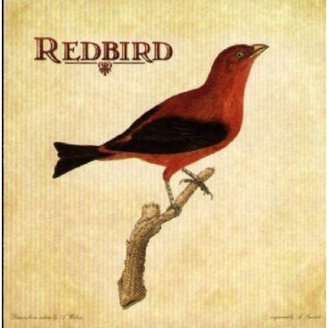 REDBIRD - REDBIRD
