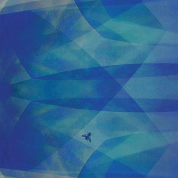 CYRO BAPTISTA - BLUEFLY