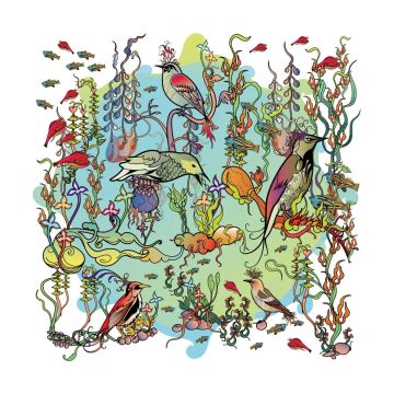 JOHN ZORN - DREAMERS GENTLE SIDE