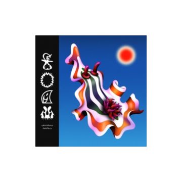 DIVINO NNO - FOAM