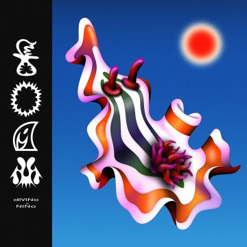 DIVINO NNO - FOAM