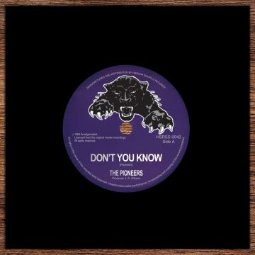 PIONEERS - DON'T YOU KNOW/ME NAW GO A BELIEVE