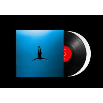 TELESCREENS - WHY THE LIGHTS FLICKER (BLACK & WHITE VINYL)