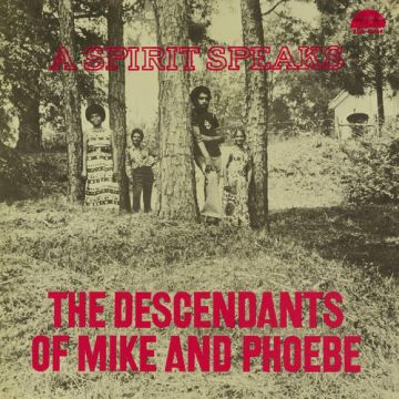 BILL LEE - DESCENDANTS OF MIKE & PHOEBE - A SPIRIT SPEAKS (DELUXE EDITION)