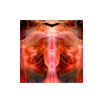PAUL SCHUTZE - ANNIHILATING ANGEL; OR, THE SURFACE OF THE WORLD