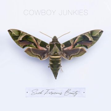COWBOY JUNKIES - SUCH FEROCIOUS BEAUTY (TRANSLUCENT GREEN VINYL)