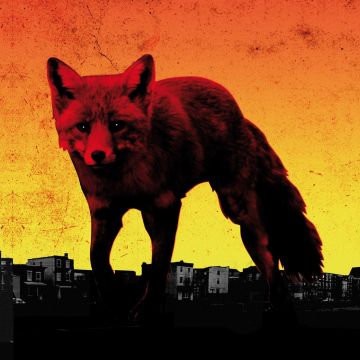 PRODIGY - DAY IS MY ENEMY