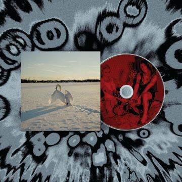 SOUR WIDOWS - SIGIL