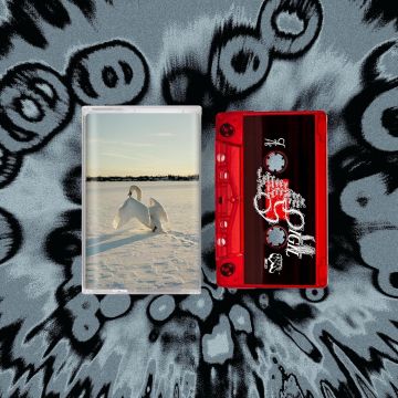 SOUR WIDOWS - SIGIL