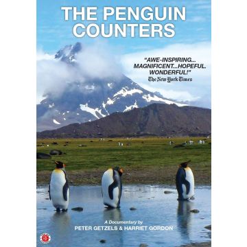 PENGUIN COUNTERS