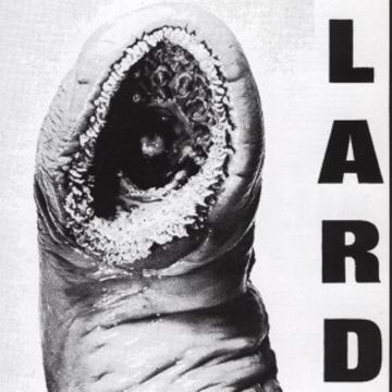 LARD - POWER OF LARD