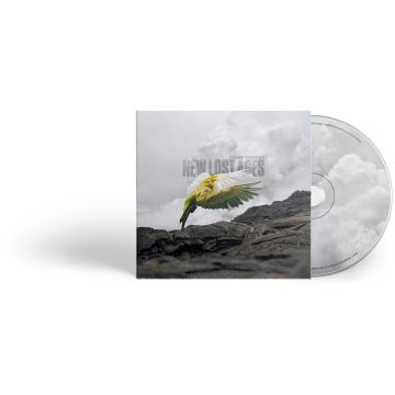 TYLER RAMSEY - NEW LOST AGES