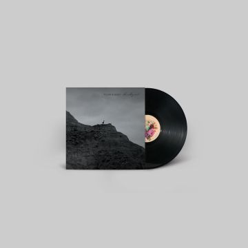 TYLER RAMSEY - VALLEY WIND