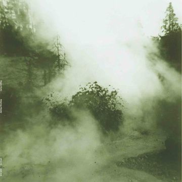 MEGAN SIEBE - SWAYING STEADY