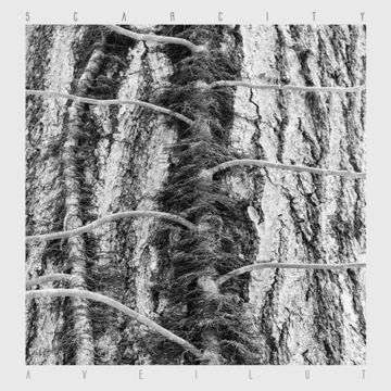 SCARCITY - AVEILUT