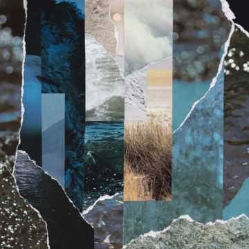 CREMATION LILY - DREAMS DRENCHED IN STATIC