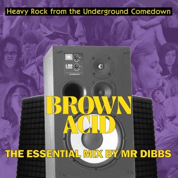 VARIOUS ARTISTS - BROWN ACID THE ESSENTIAL MIX BY MR. DIBBS