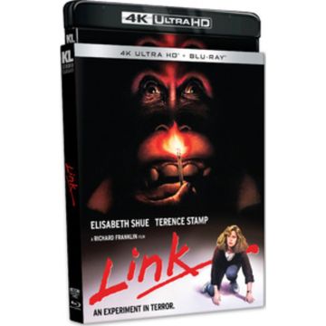 LINK (4KUHD)