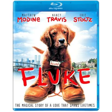 FLUKE