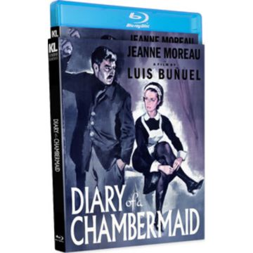 DIARY OF A CHAMBERMAID