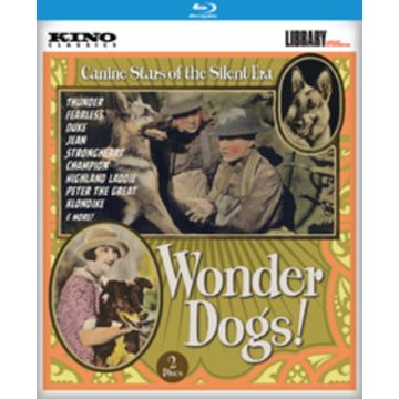 WONDER DOGS!