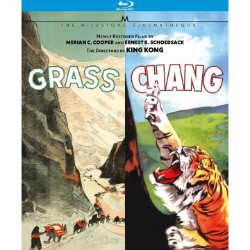 GRASS & CHANG