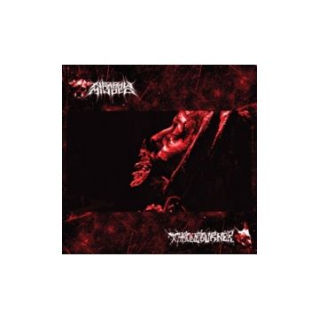 NARROW MINDED X THRONEBURNER - SPLIT
