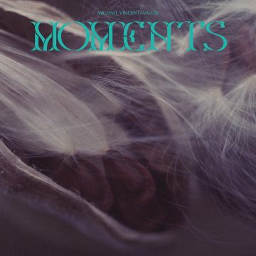 MICHAEL VINCENT WALLER - MOMENTS