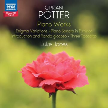 LUKE JONES - POTTER: PNO WORKS